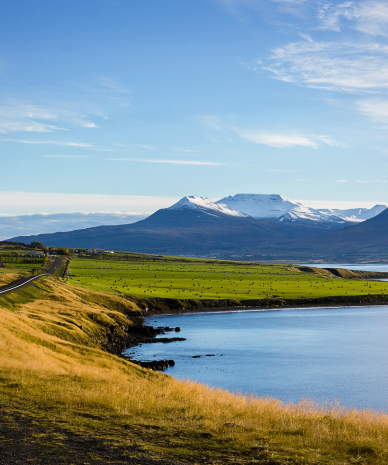 Iceland Scene